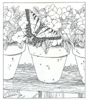 A coloring page of nature in the backyard